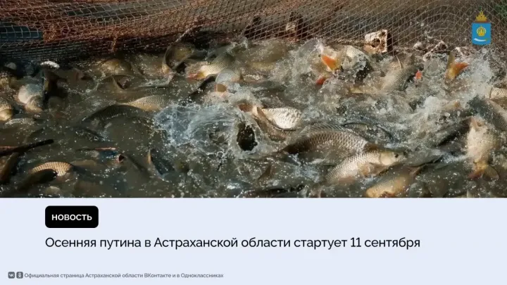 Осенняя рыболовная путина в Астраханской области продлится до 10 декабря — Астрахань Сейчас