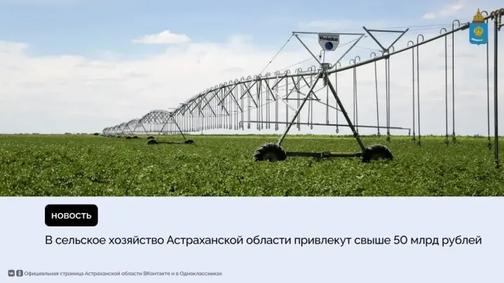 Шесть агропроектов в Астраханской области получили статус особо важных — Астрахань Сейчас