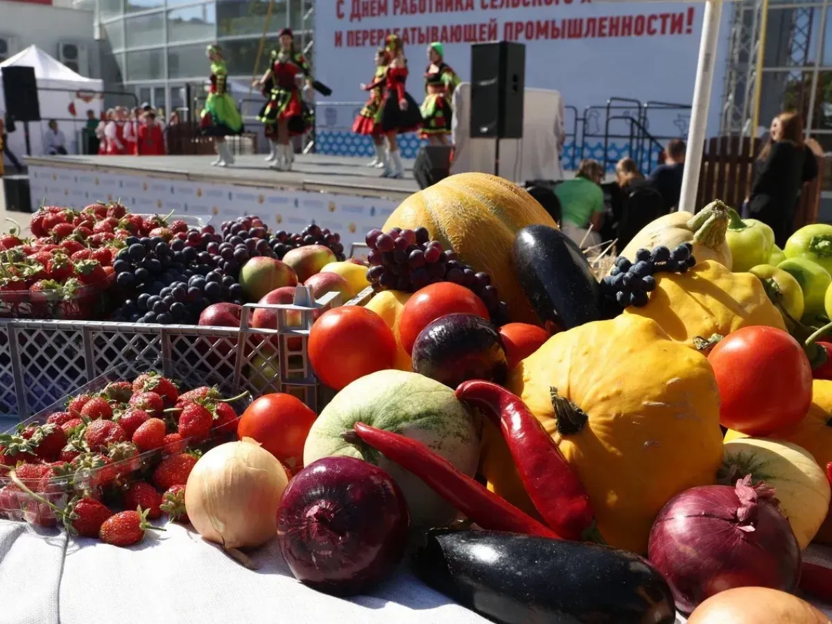 Более 250 фермерских хозяйств представили продукцию на «Агрофестивале-2026»