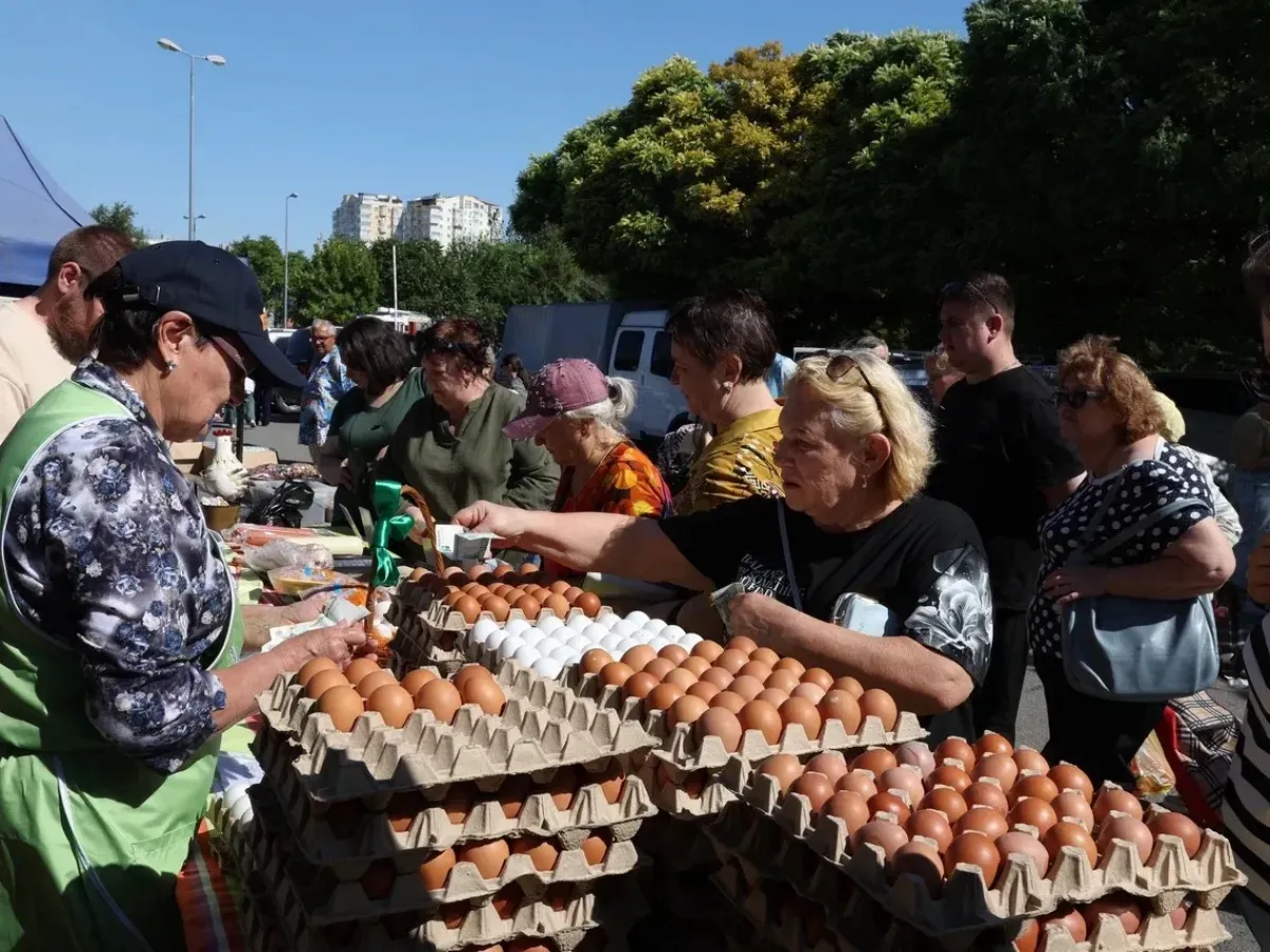 Более 250 фермерских хозяйств представили продукцию на «Агрофестивале-2026»