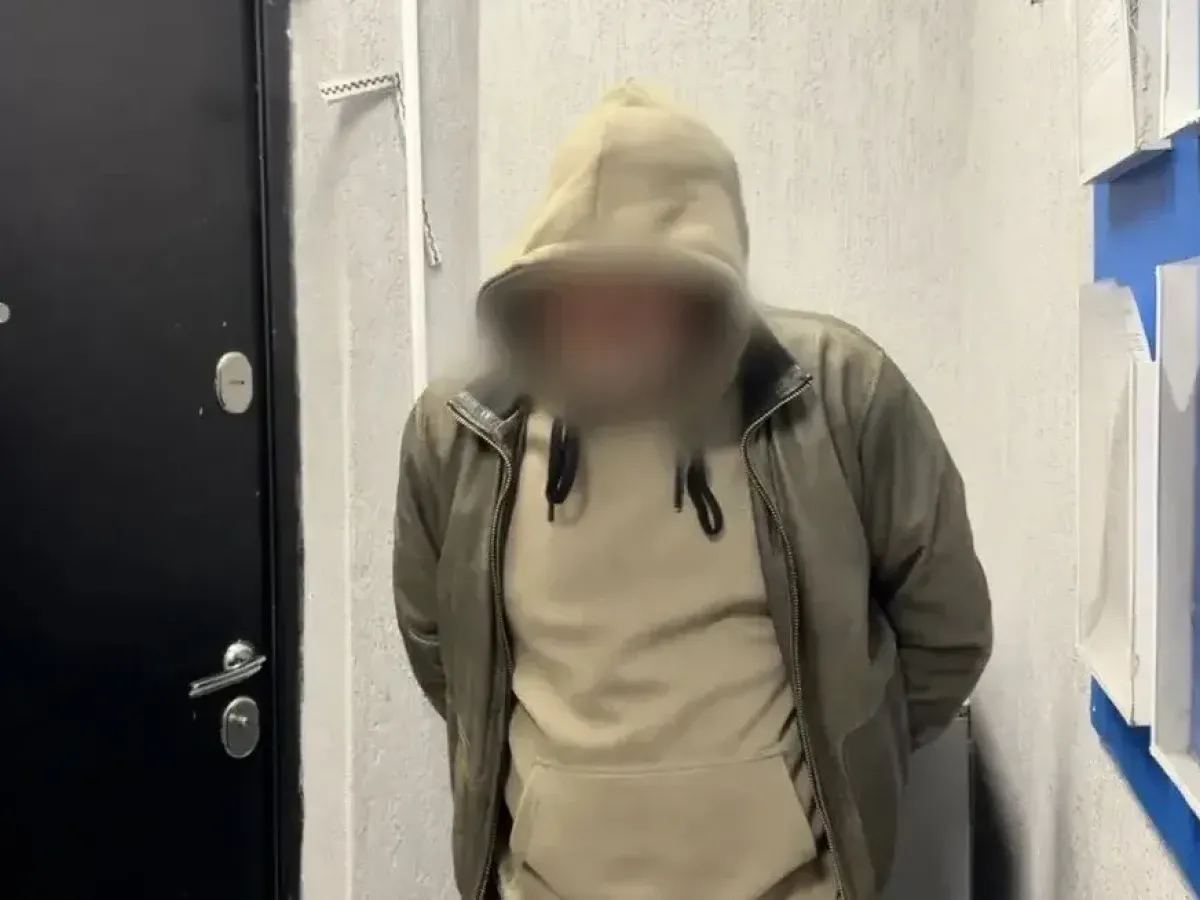 В Астрахани задержали участников конфликта после гибели кота