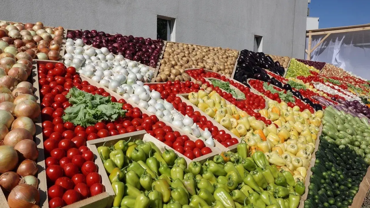 Более 250 фермерских хозяйств представили продукцию на «Агрофестивале-2026» — Астрахань Сейчас