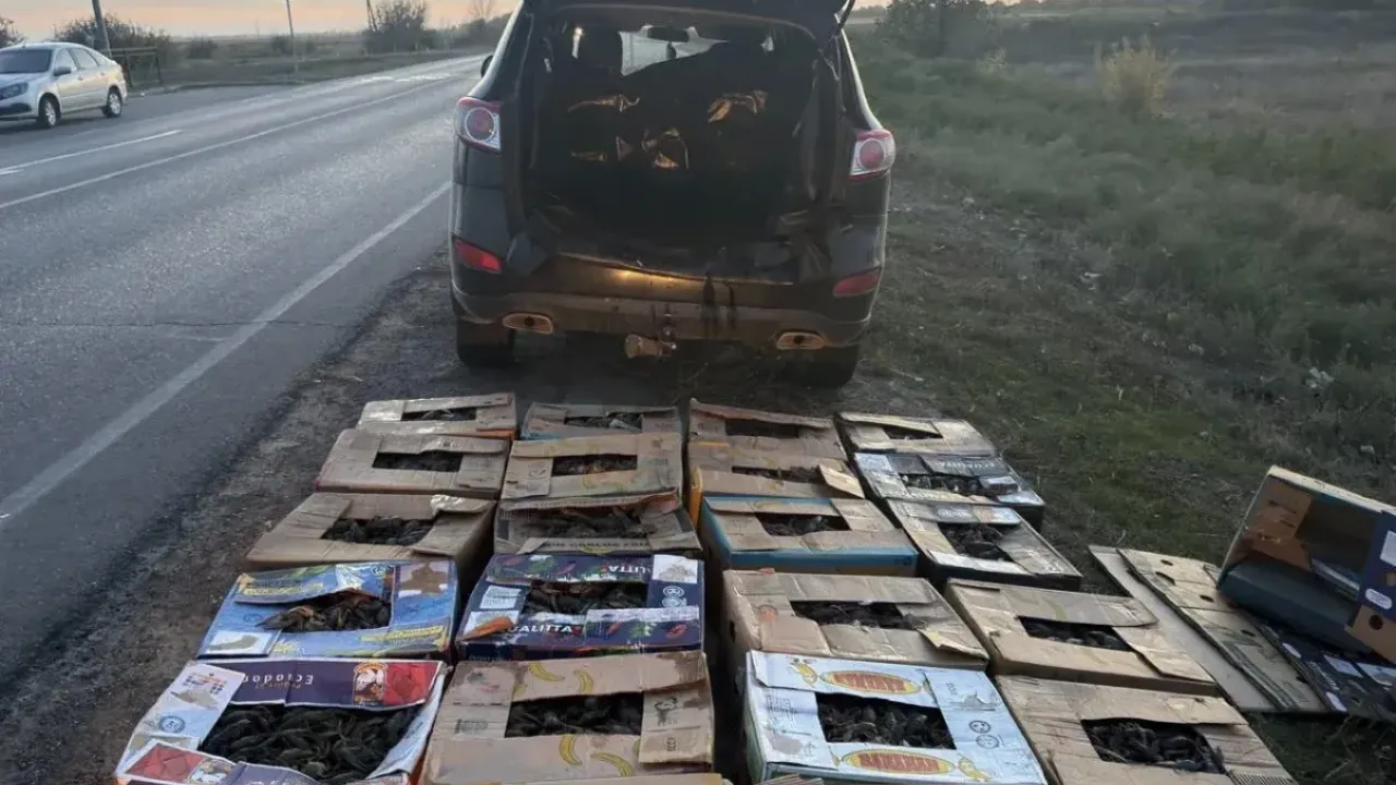 В Приволжском районе пресекли перевозку 450 кг раков и сообщили еще о трех случаях — Астрахань Сейчас