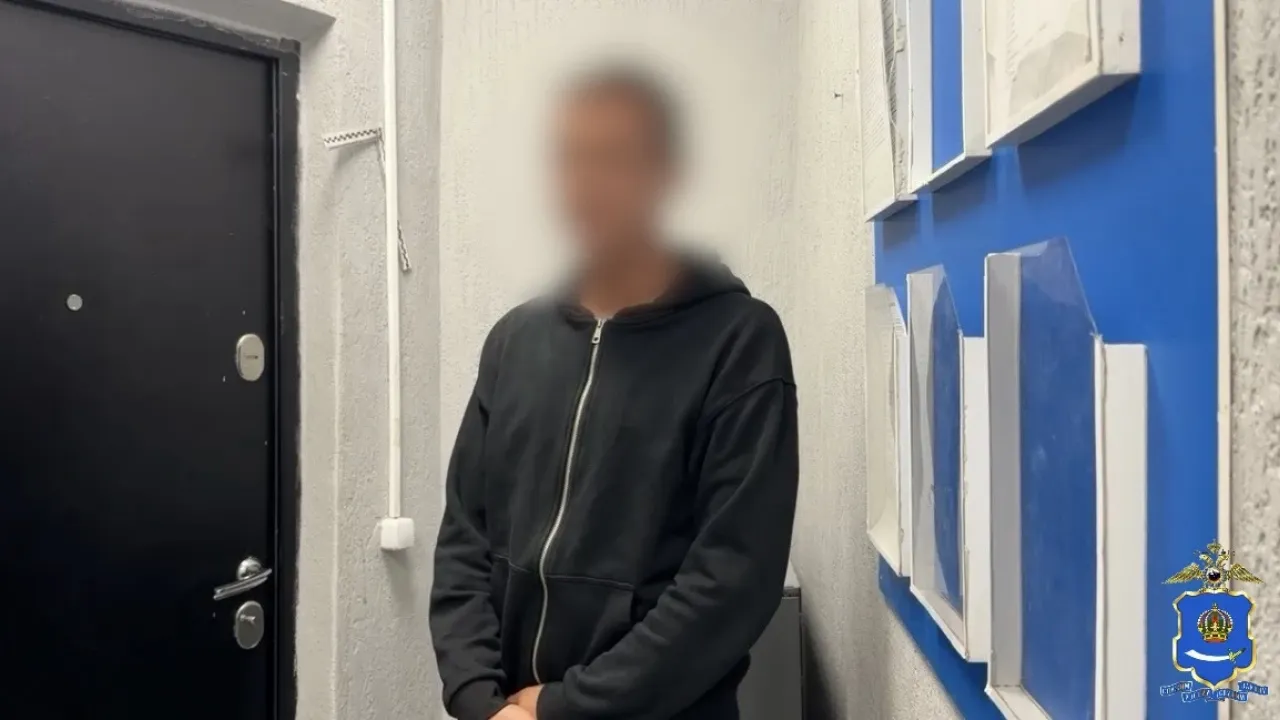 В Астрахани задержали участников конфликта после гибели кота — Астрахань Сейчас
