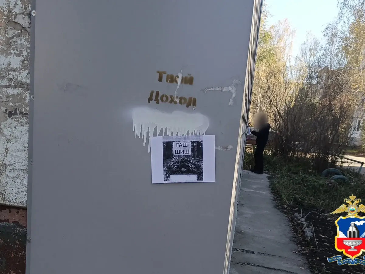 Жителя Бийска приговорили к 13 годам колонии за рекламу наркомаркета