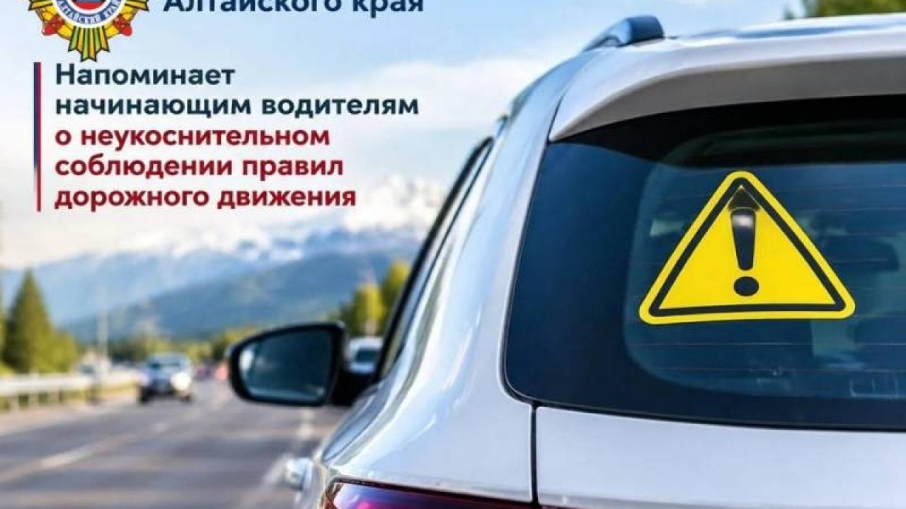 Госавтоинспекция края напомнила начинающим водителям о соблюдении ПД? — Барнаул Сейчас