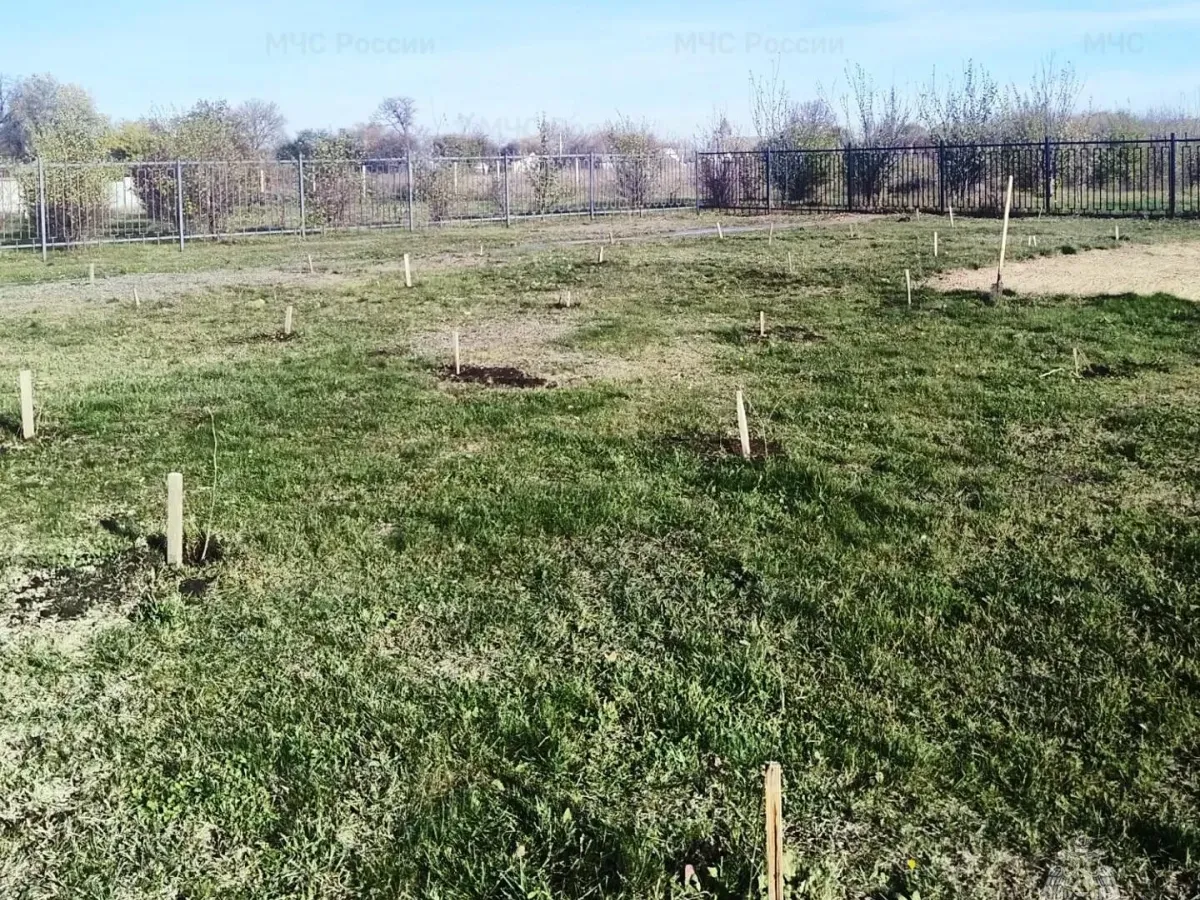 В Прохоровке сотрудники МЧС заложили парк к 100-летию пожарного надзора