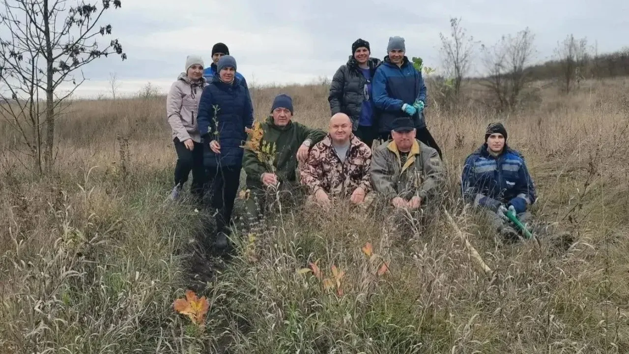 В Ивнянском округе высадили 1 000 дубов в рамках акции «Сохраним лес» — Белгород Сейчас