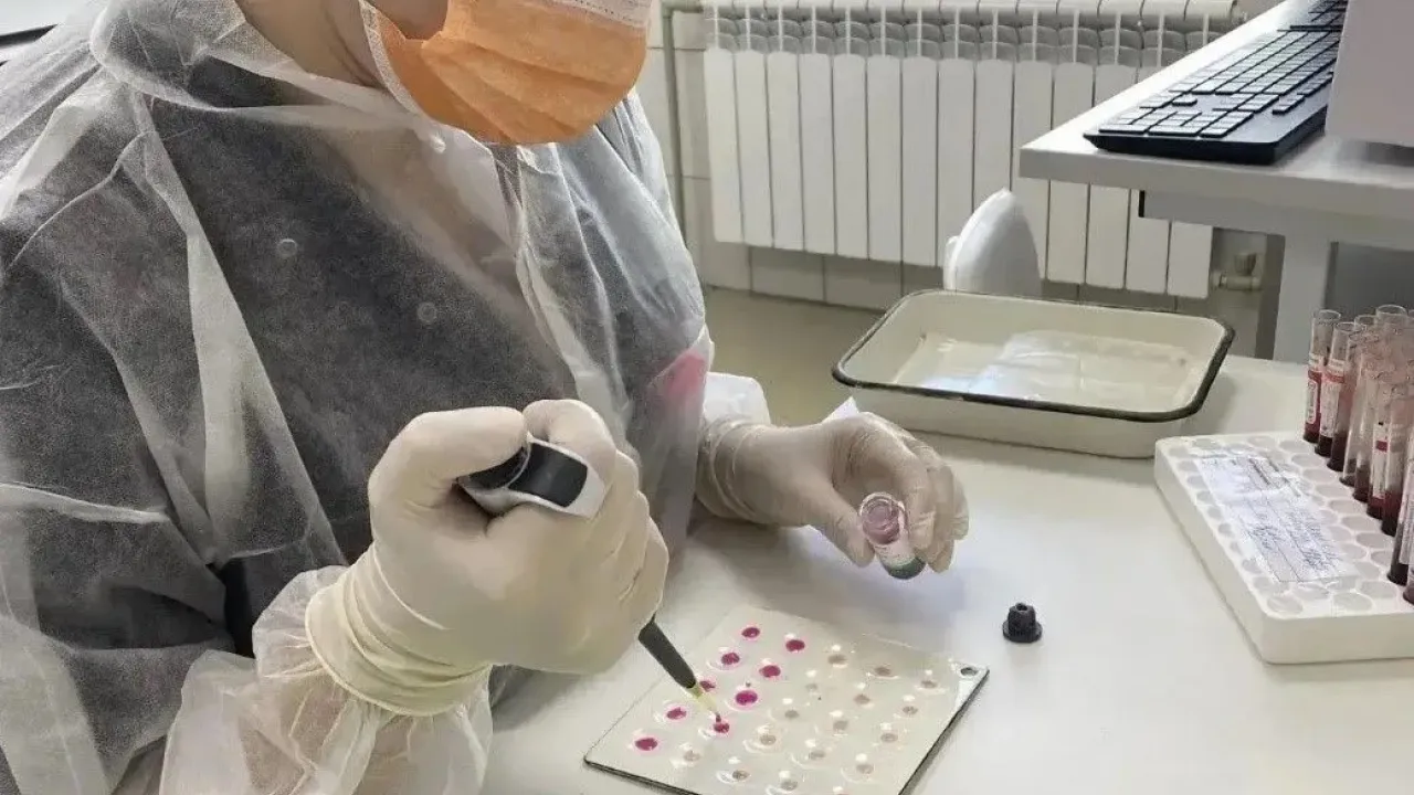 В Белгородской области государственные ветеринарные лаборатории проводят более 2 млн исследований в год — Белгород Сейчас