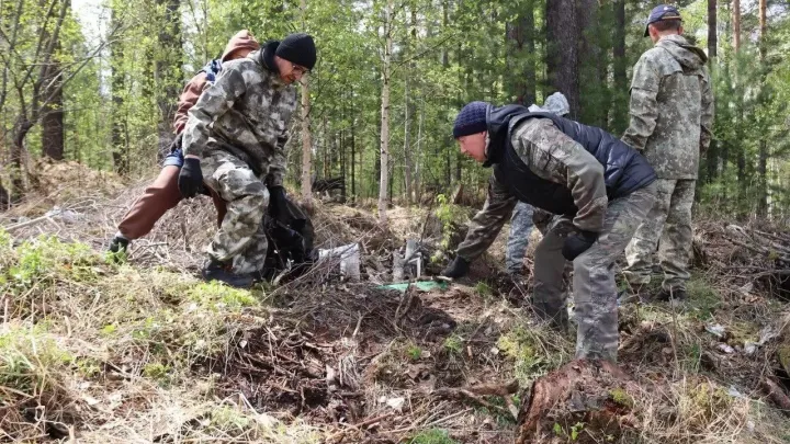 Осенью во всех 37 лесничествах Иркутской области пройдут субботники — Иркутск Сейчас