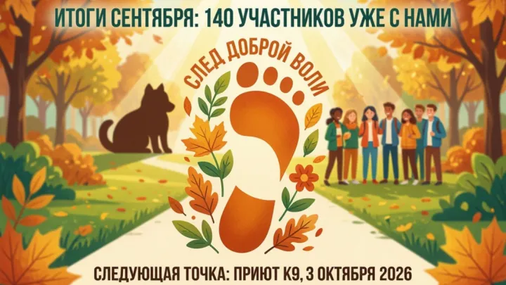 В проекте «След доброй воли» уже участвуют более 140 студентов-волонтёров — Иркутск Сейчас