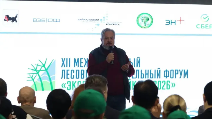 В Байкальске участники лесовосстановительного форума высадили около 4 тыс. сосен — Иркутск Сейчас