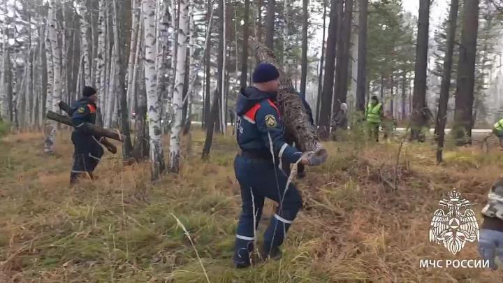 Сотрудники МЧС приняли участие в экологической акции на Байкальском тракте — Иркутск Сейчас