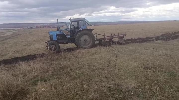 В муниципалитетах региона создали и обновили 665 минерализованных полос — Иркутск Сейчас