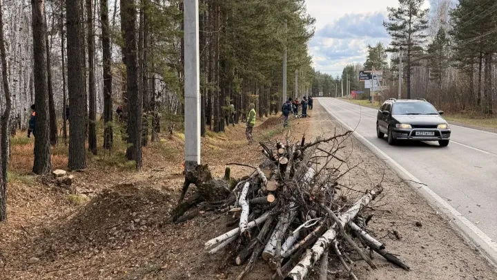 В районе Байкальского тракта убрали мусор и сухой валежник — Иркутск Сейчас