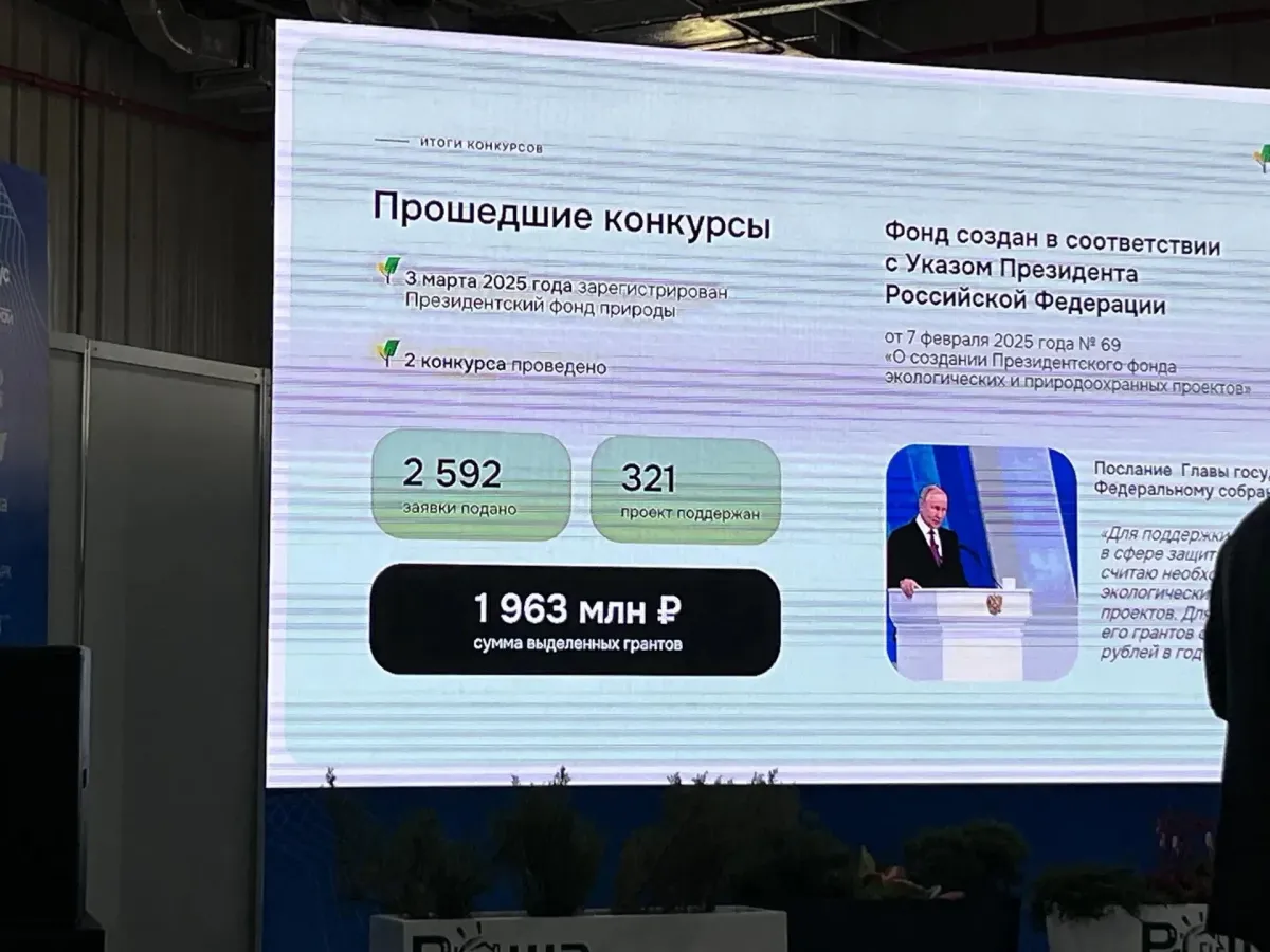 На экологическом конгрессе в Приангарье рассказали о президентских грантах