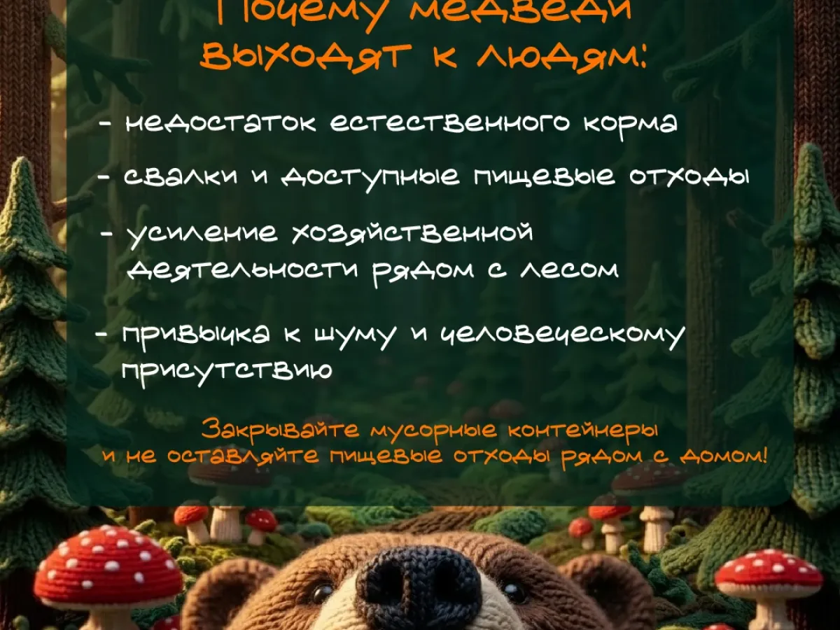 В Иркутской области рекомендовали режим повышенной готовности из-за выходов медведей