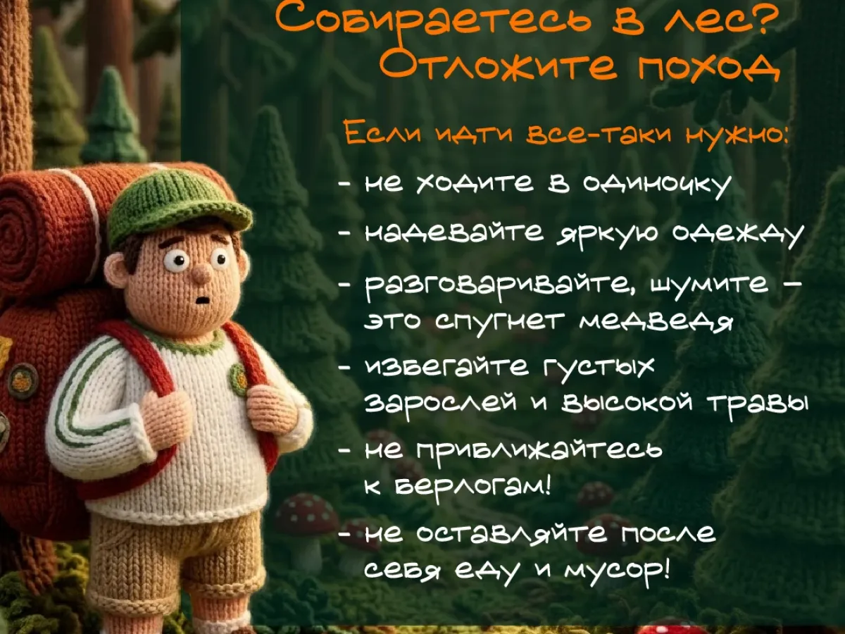 В Иркутской области рекомендовали режим повышенной готовности из-за выходов медведей