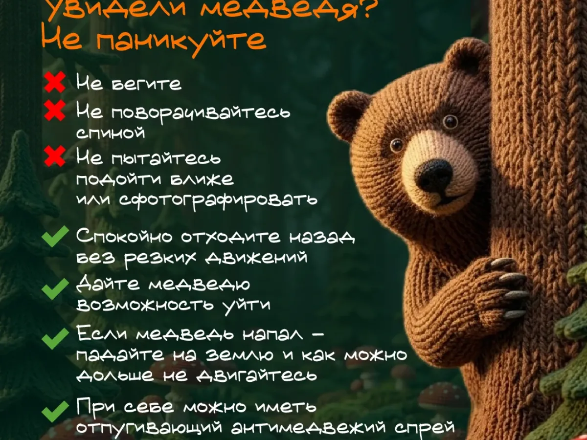В Иркутской области рекомендовали режим повышенной готовности из-за выходов медведей