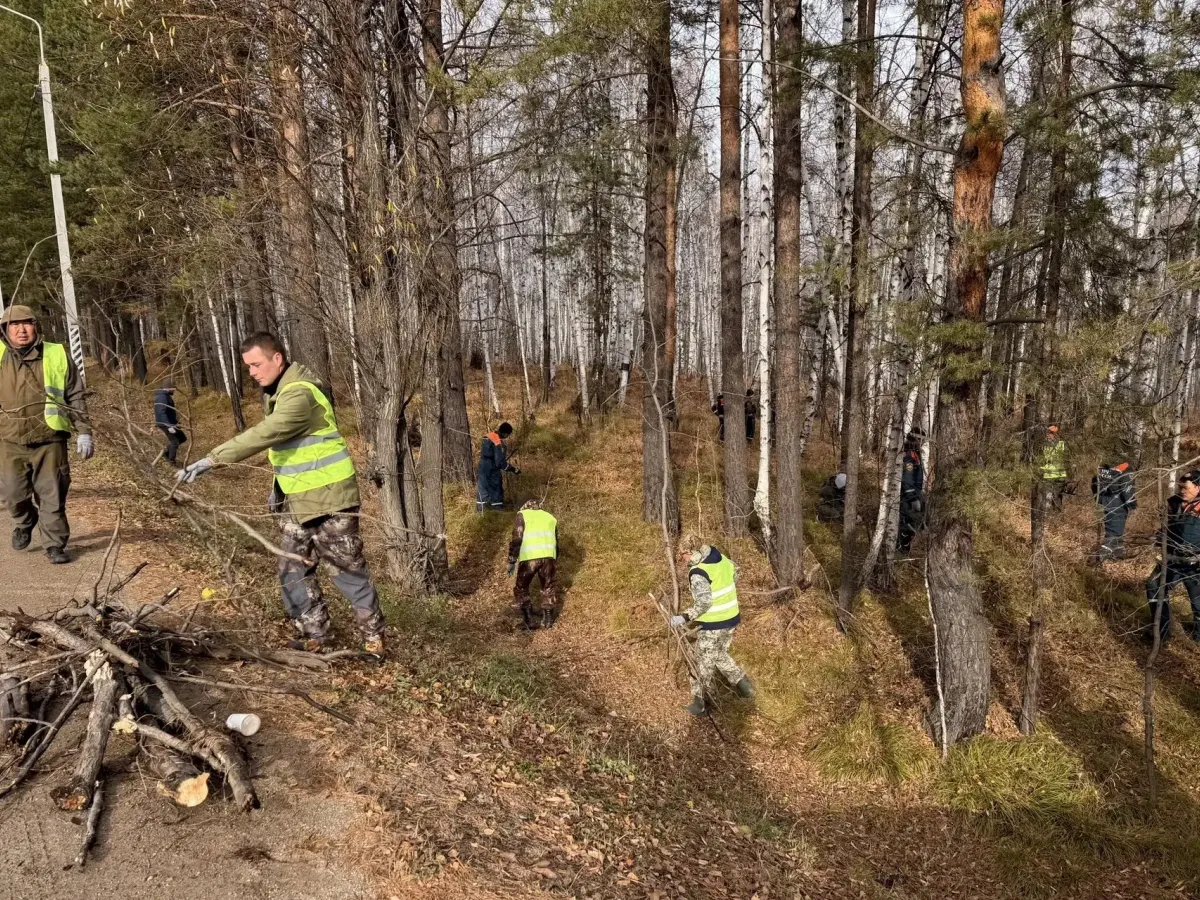 В районе Байкальского тракта убрали мусор и сухой валежник