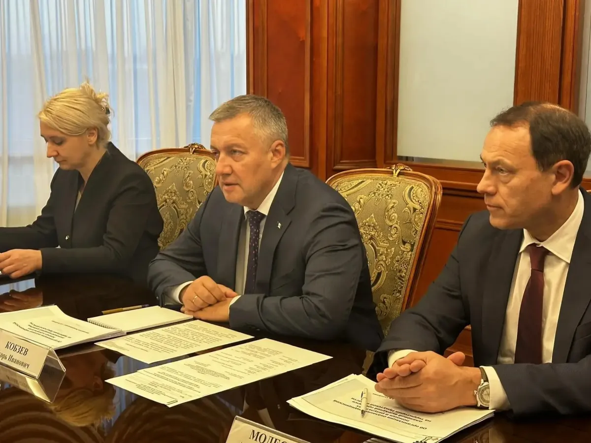 Игорь Кобзев обсудил с Аллой Самойловой итоги проверки медпомощи в регионе