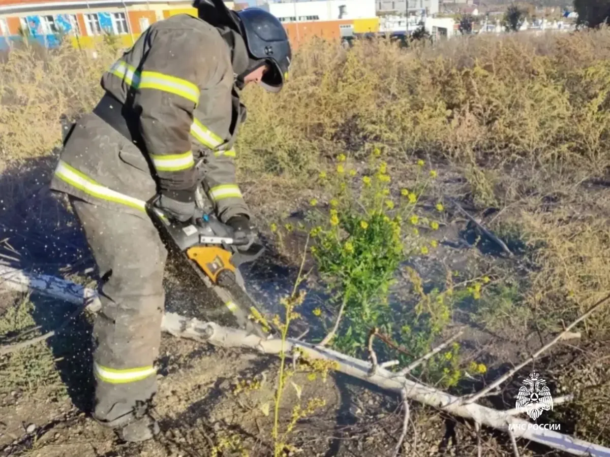 В Иркутской области усилили подготовку к пожароопасному периоду следующего года