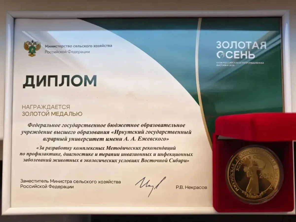 Предприятия и вузы Приангарья получили награды «Золотой осени-2026»