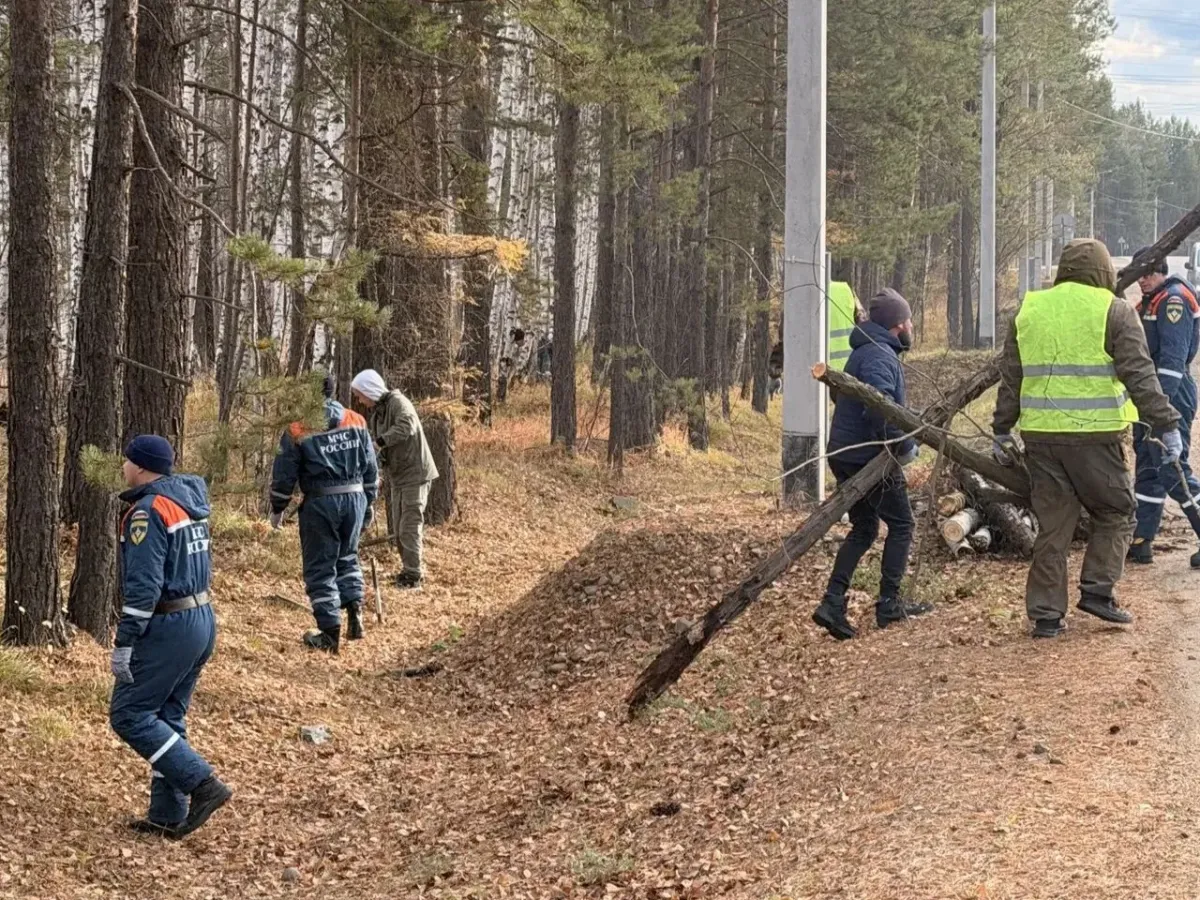 В районе Байкальского тракта убрали мусор и сухой валежник