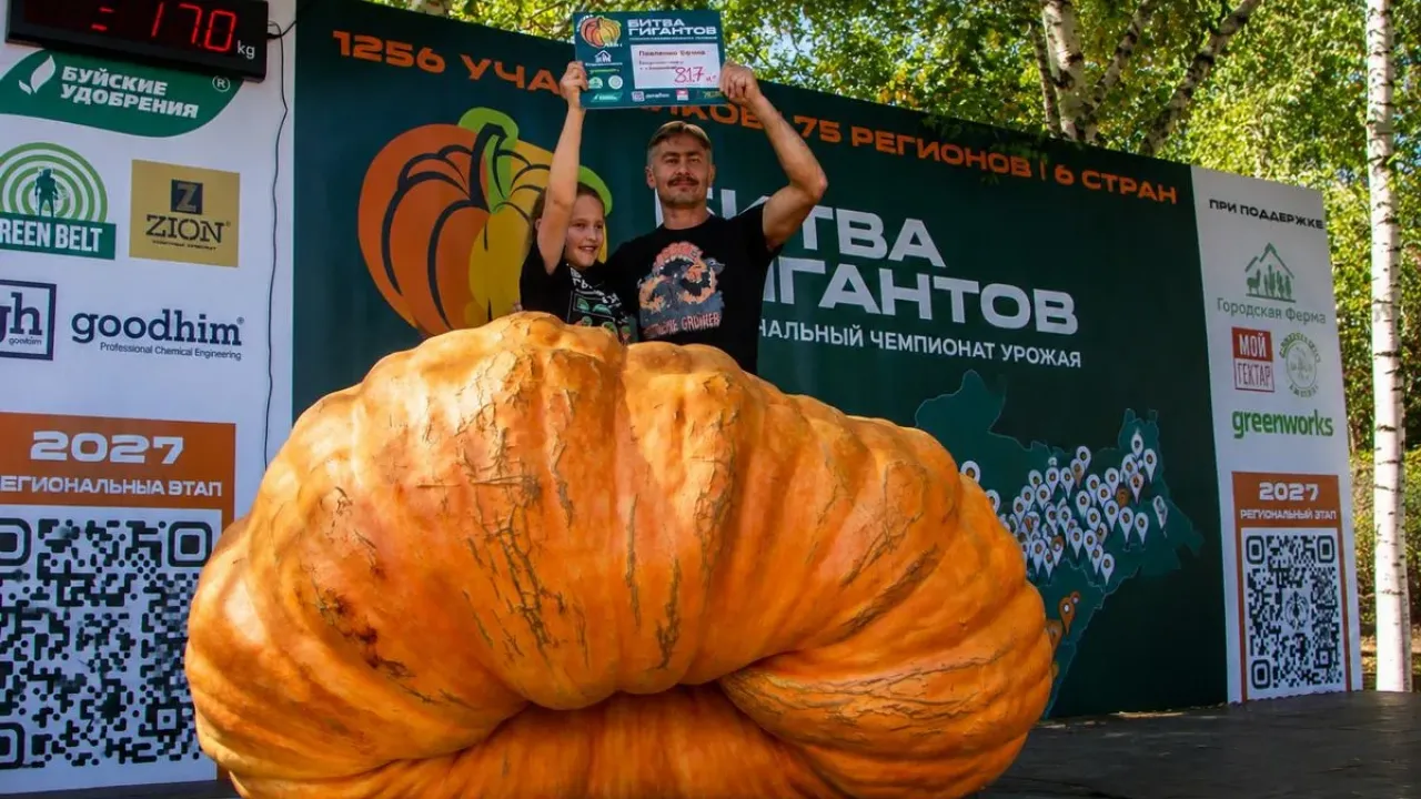 Тыква из Приангарья победила на фестивале «Битва гигантов» в Москве — Иркутск Сейчас