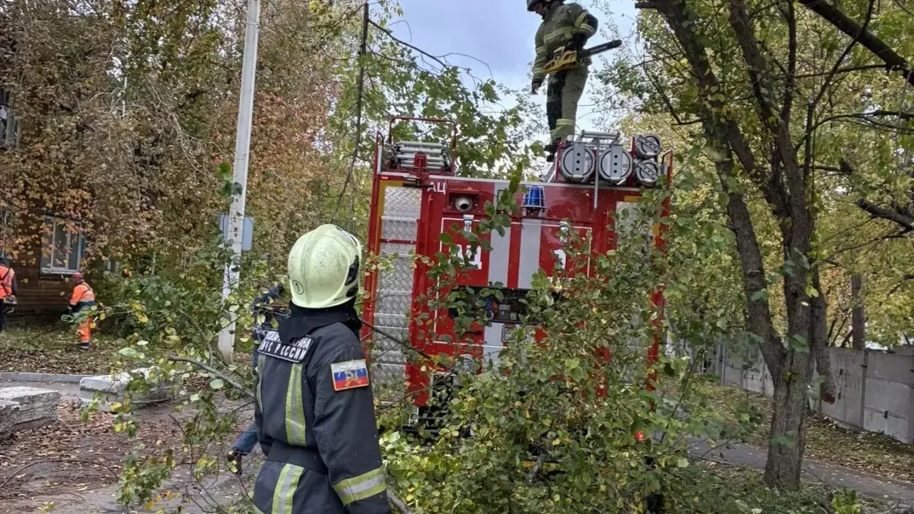 Иркутские огнеборцы подготовили территорию города к пожароопасному периоду — Иркутск Сейчас