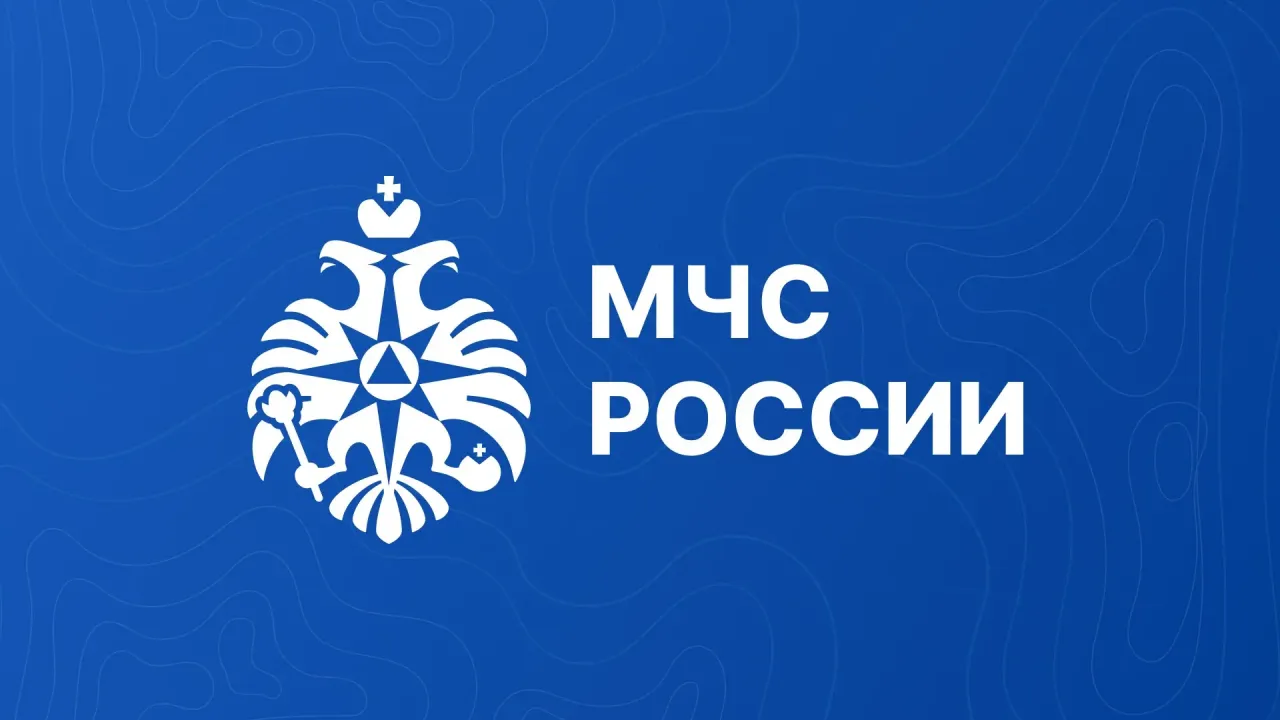 МЧС обновило форму подачи уведомлений о выполнении работ по пожарной безопасности — Иркутск Сейчас