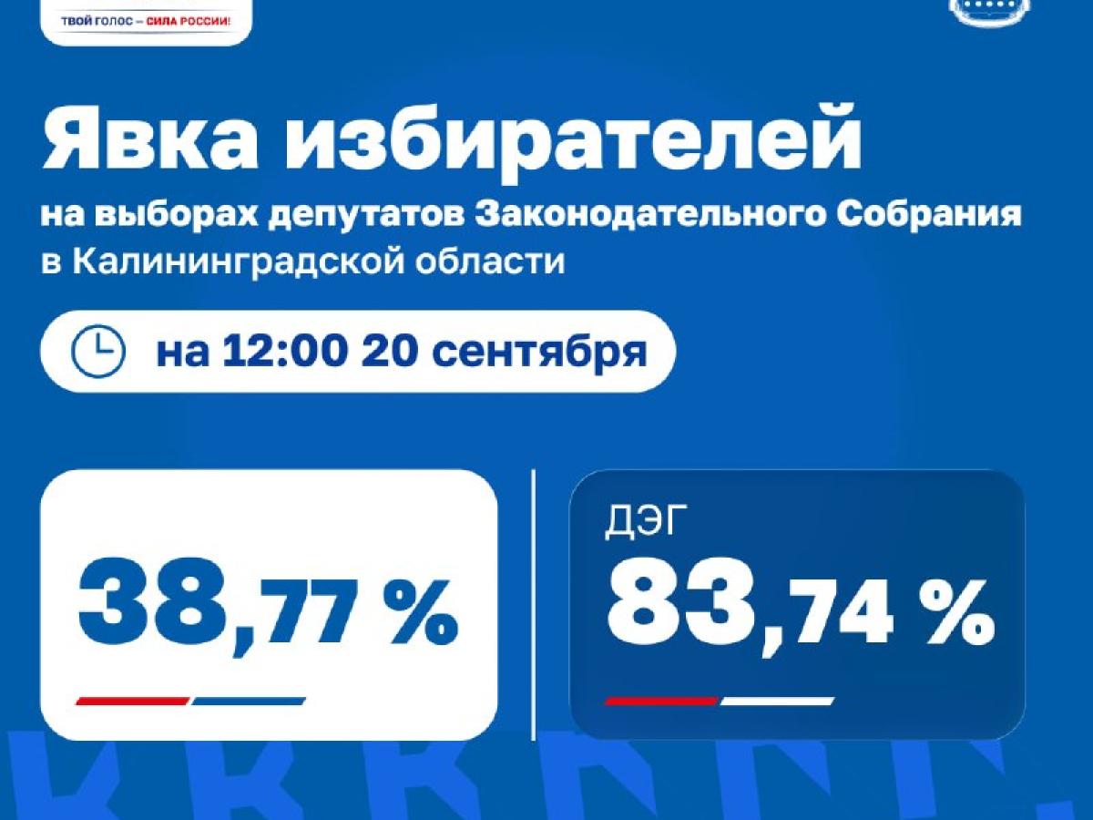 В Калининградской области сообщили о явке на выборах по данным на 12:00 20 сентября