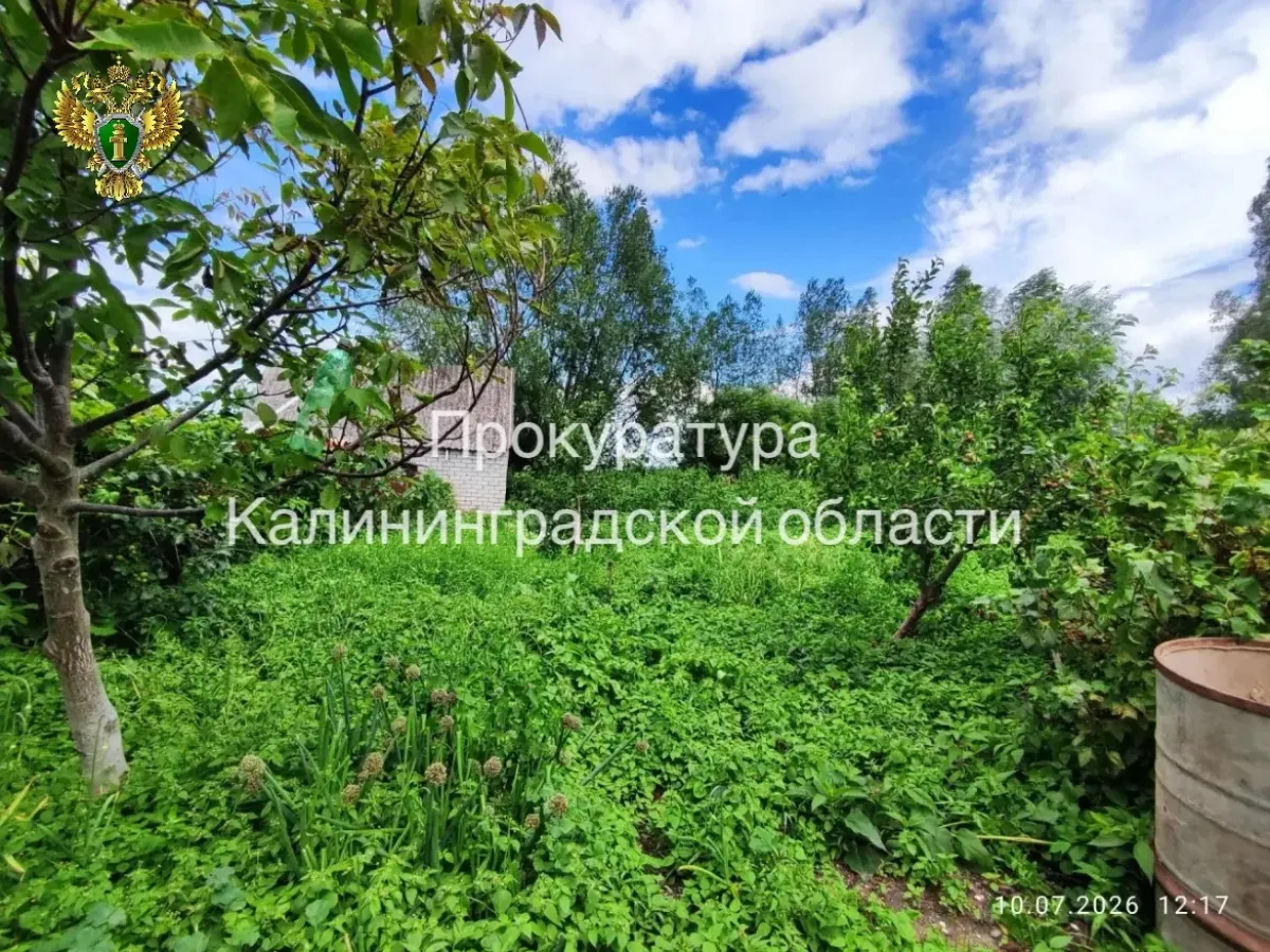 Суд вернул в госсобственность участок на побережье Куршского залива