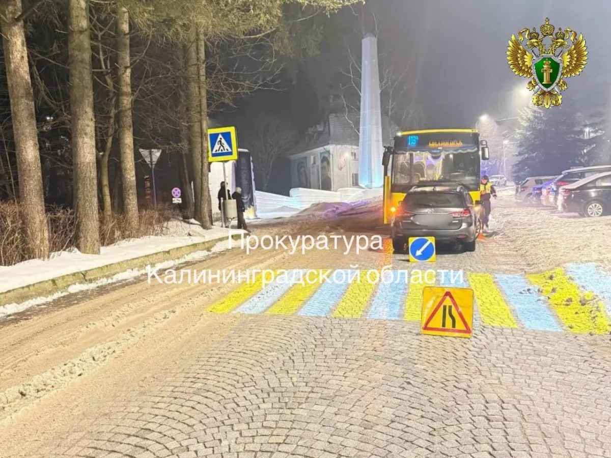 В Светлогорске после ДТП с автобусом ребенку присудили 100 тысяч рублей