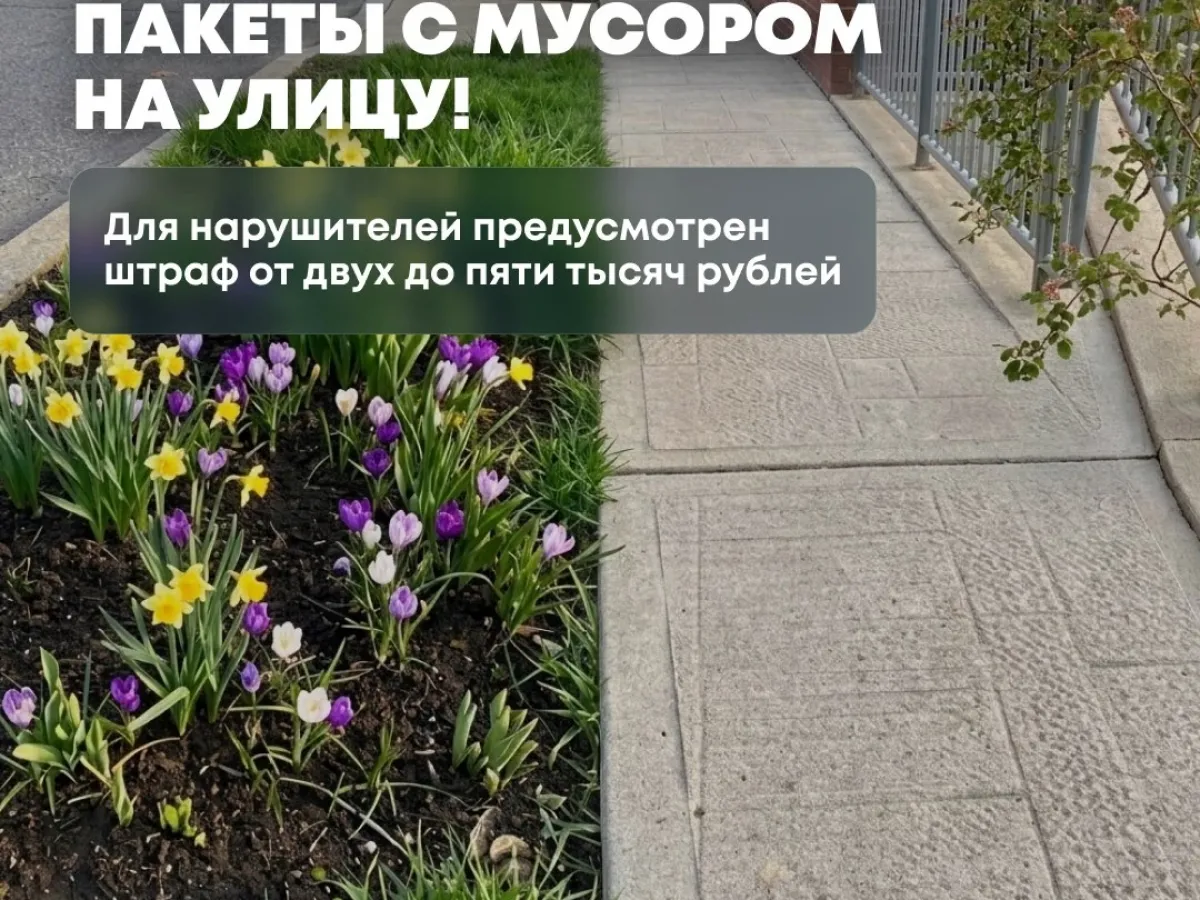 В Калининградской области с начала года не применяют бестарный сбор отходов