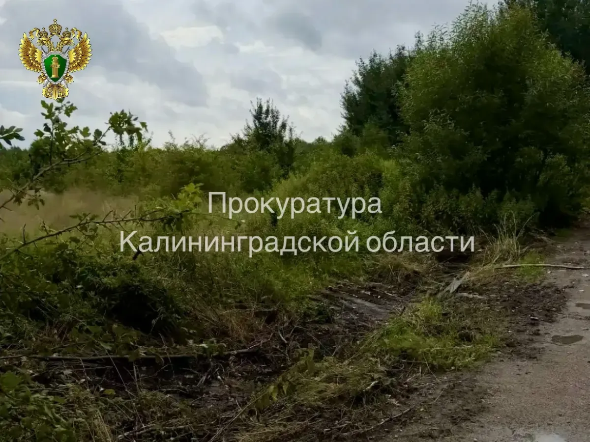 После вмешательства прокуратуры ликвидировали свалку на участке в полосе отвода дороги