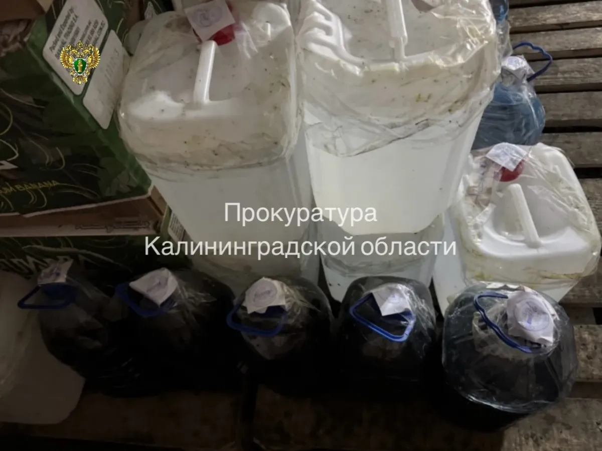 В Озерском районе вынесли приговор по делу о хранении алкоголя и табака
