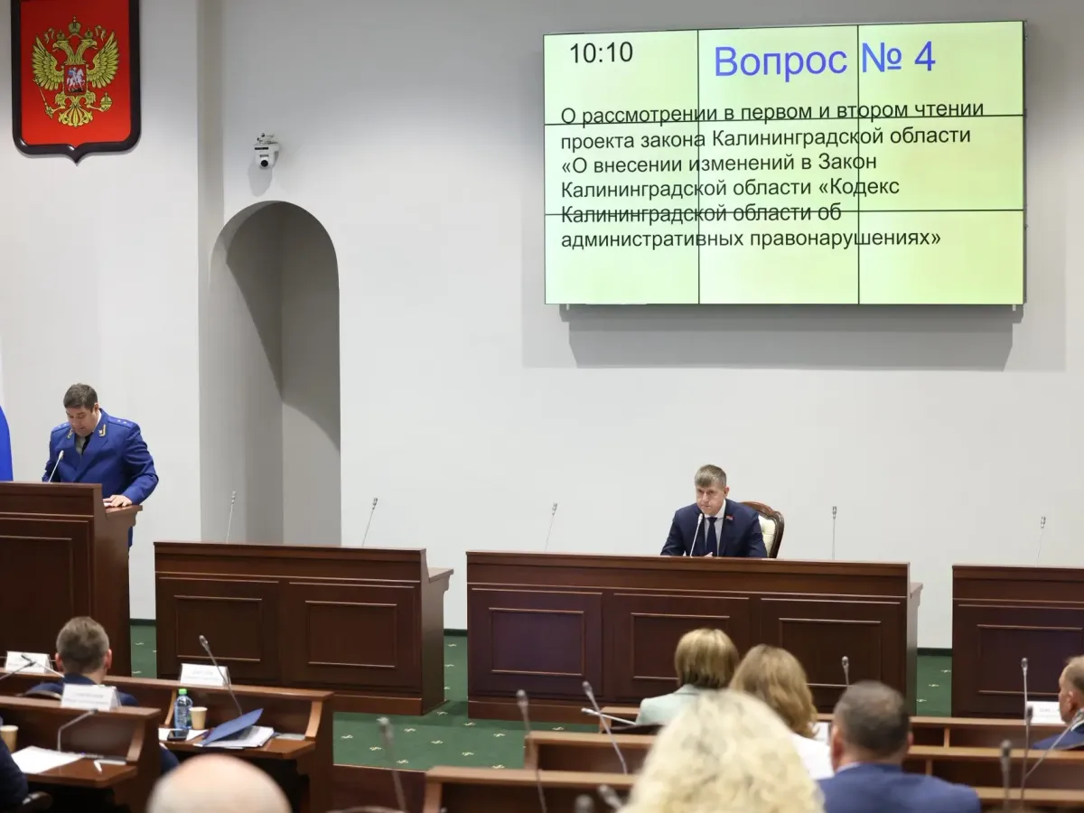 В области поддержали проекты законов о помощи участникам СВО и ответственности за СИМ