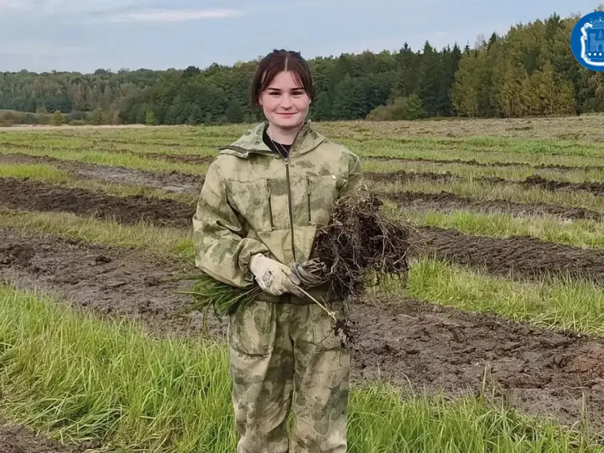 В регионе продолжается осенняя кампания по лесовосстановлению