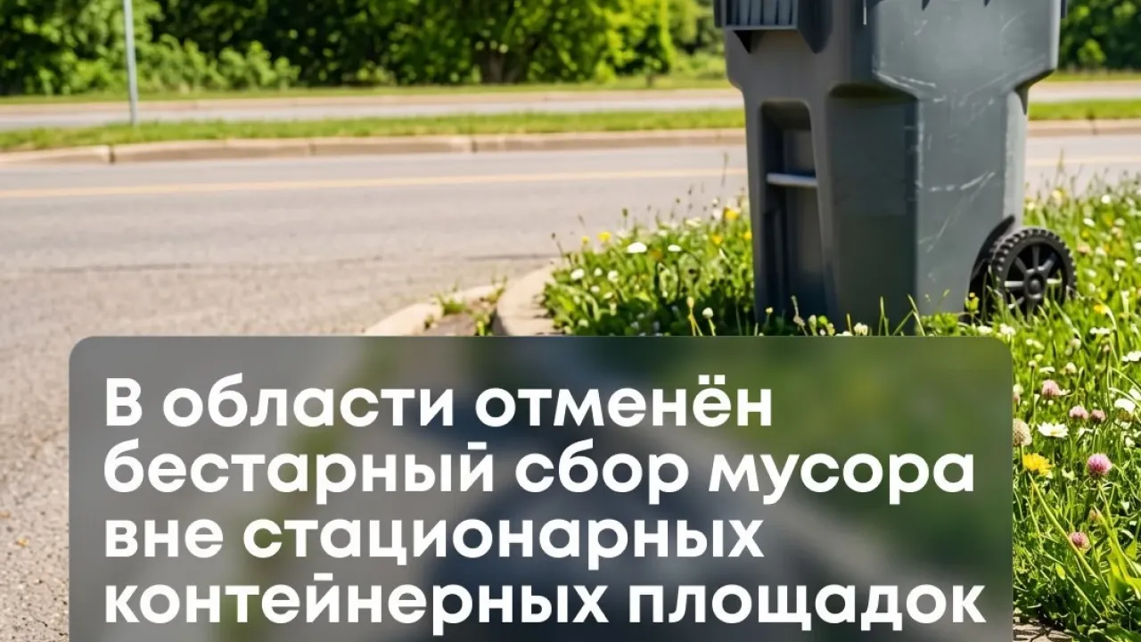 В Калининградской области с начала года не применяют бестарный сбор отходов — Калининград Сейчас