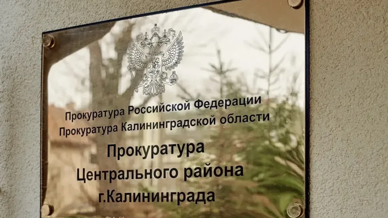Прокуратура требует компенсацию после травмы школьницы в Калининграде — Калининград Сейчас