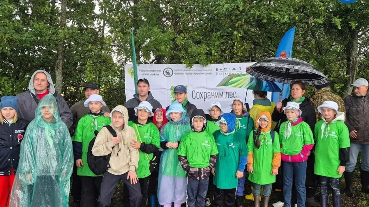 В Калининградской области стартовала осенняя акция «Сохраним лес» — Калининград Сейчас