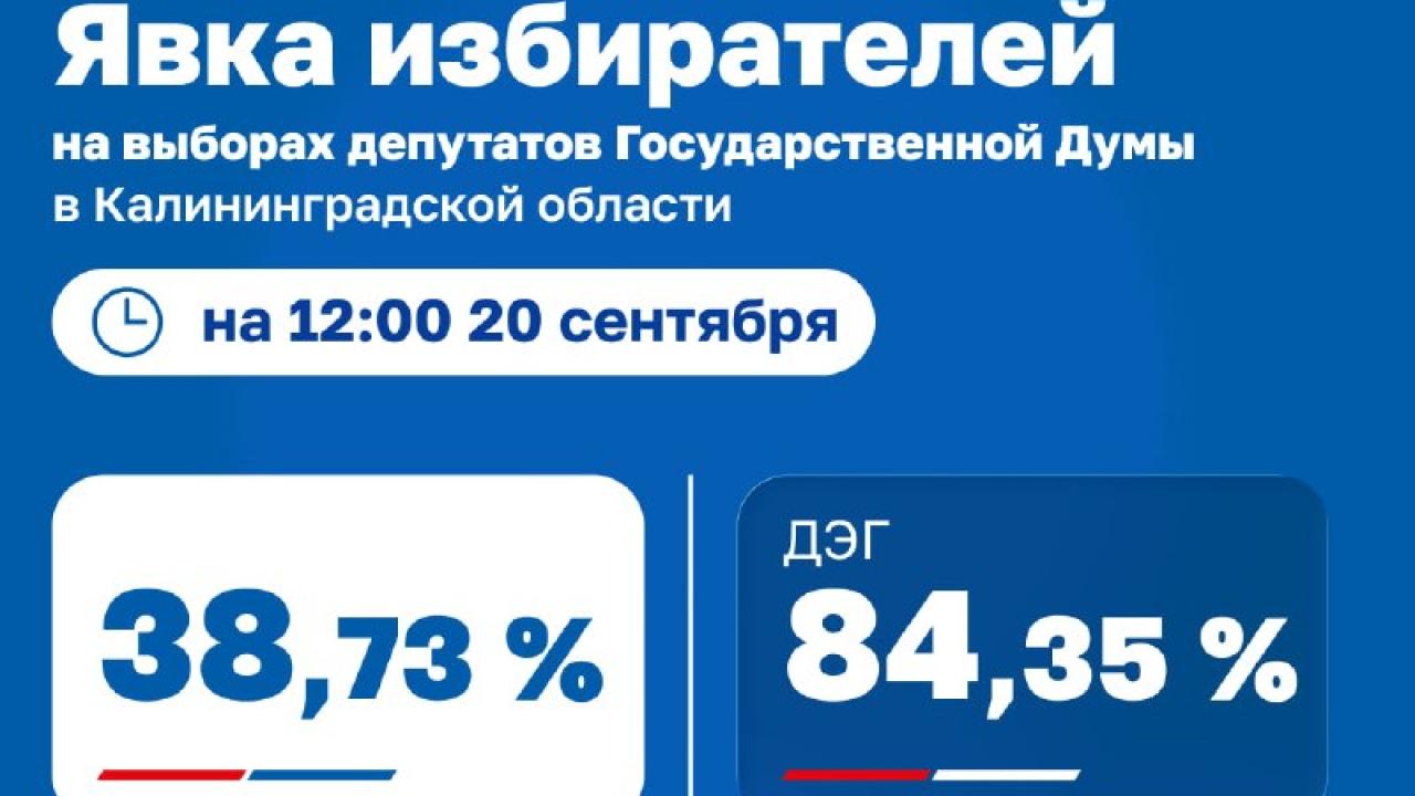 В Калининградской области сообщили о явке на выборах по данным на 12:00 20 сентября — Калининград Сейчас