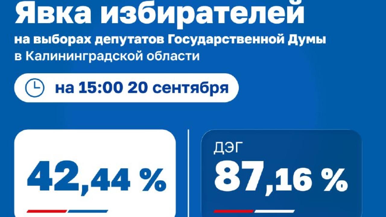 В Калининградской области сообщили о явке на выборах на 15:00 20 сентября — Калининград Сейчас