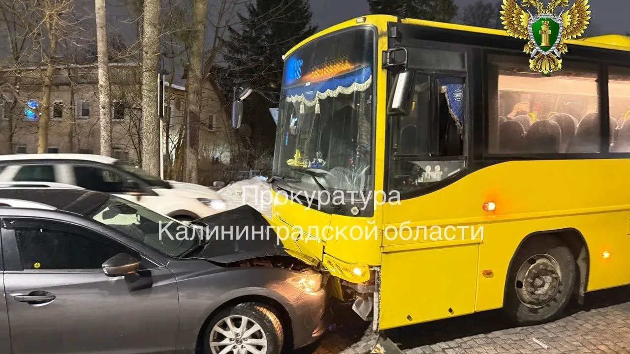 В Светлогорске после ДТП с автобусом ребенку присудили 100 тысяч рублей — Калининград Сейчас