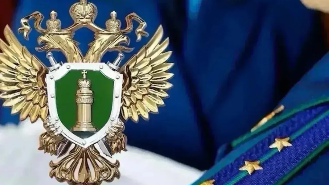 В суд направили дело об оправдании терроризма в интернете — Калининград Сейчас