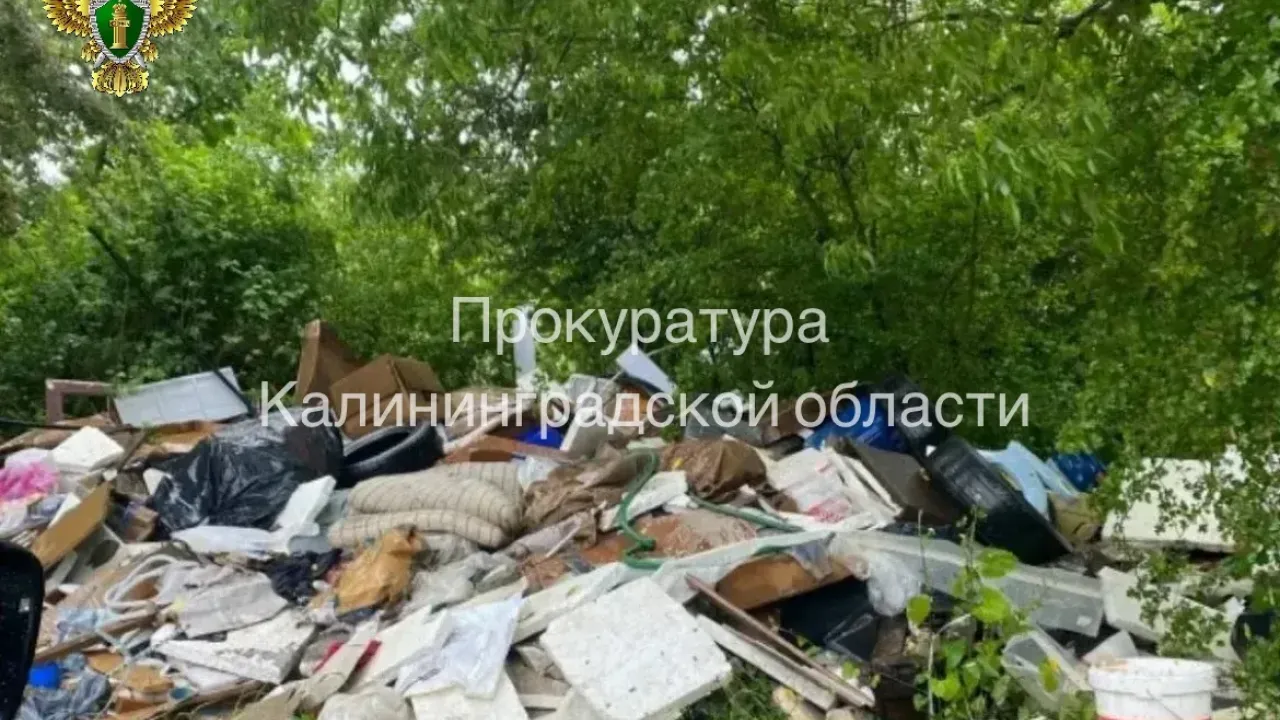 После вмешательства прокуратуры ликвидировали свалку на участке в полосе отвода дороги — Калининград Сейчас
