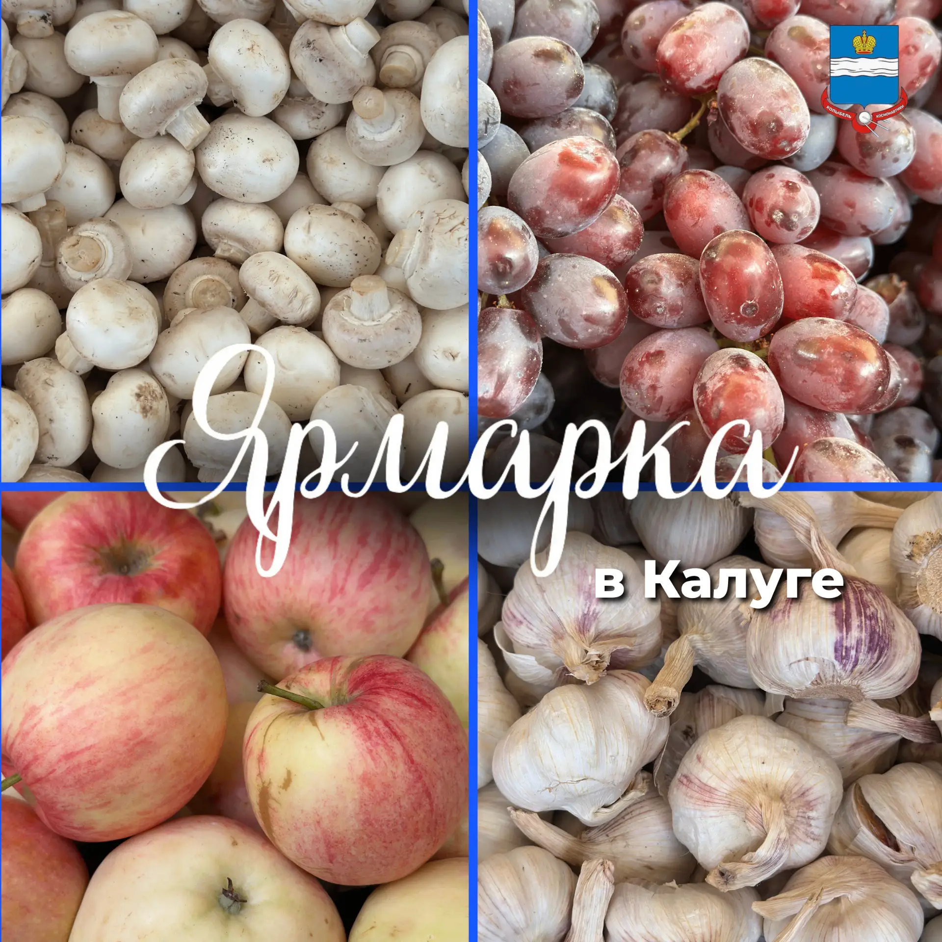Традиционная ярмарка в Калуге