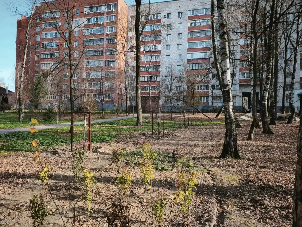 В сквере «Наш Терепец» завершили проект по озеленению