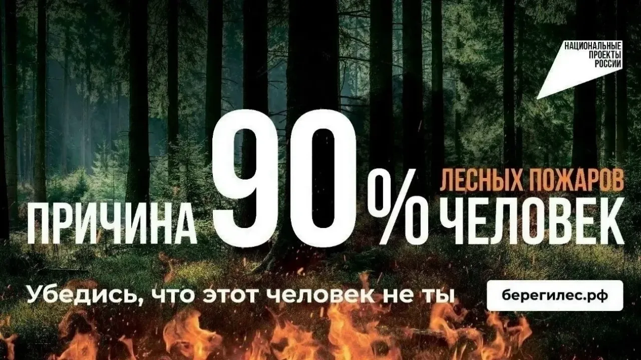 В лесах Калужской области зафиксировали 6 термоточек — Калуга Сейчас